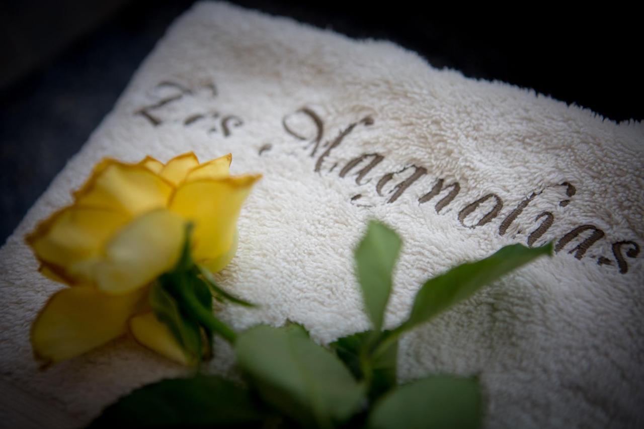 Les Magnolias Holiday Homes Lalinde Ngoại thất bức ảnh